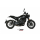 MIVV-SLIP-ON OVAL - CARBON mit Carbon Endkappe für BENELLI - LEONCINO 500 BJ. 2017 > 2024 - E.002.L3C