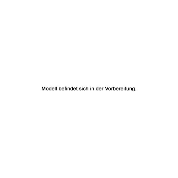 MIVV Auspuff -KAT-ERSATZROHR- für BMW S 1000 R - B.041.C1
